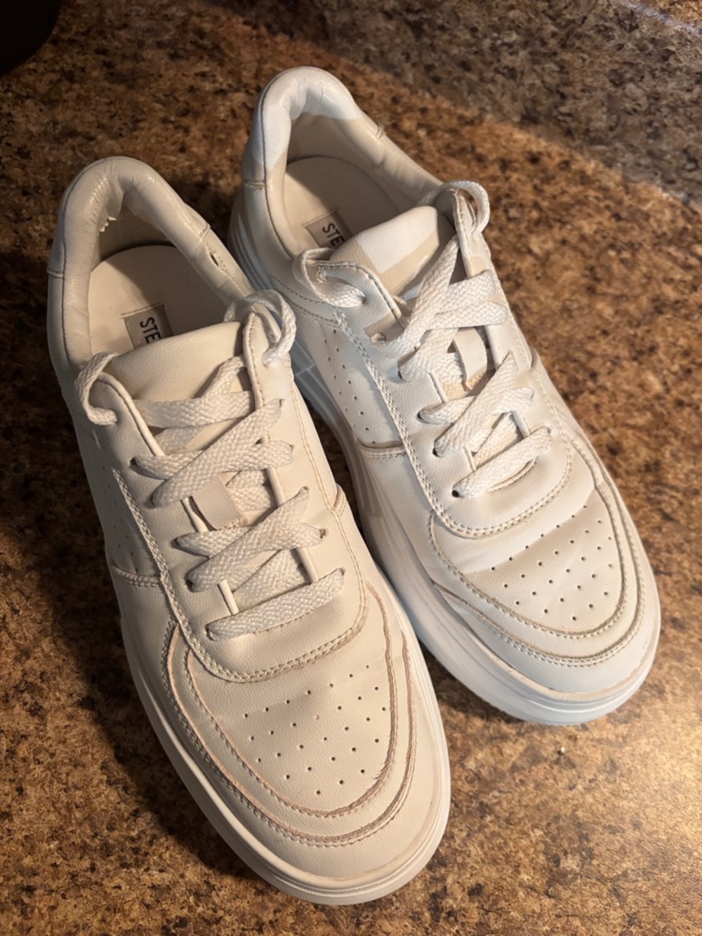 Steve Madden White Low-Top Women's Sneakers
